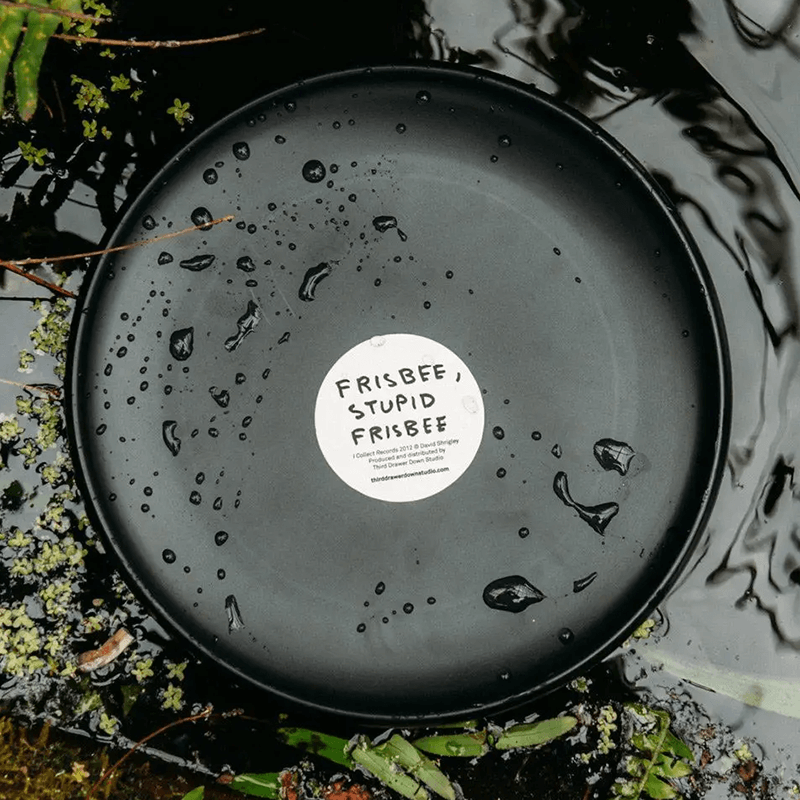 collect records frisbee