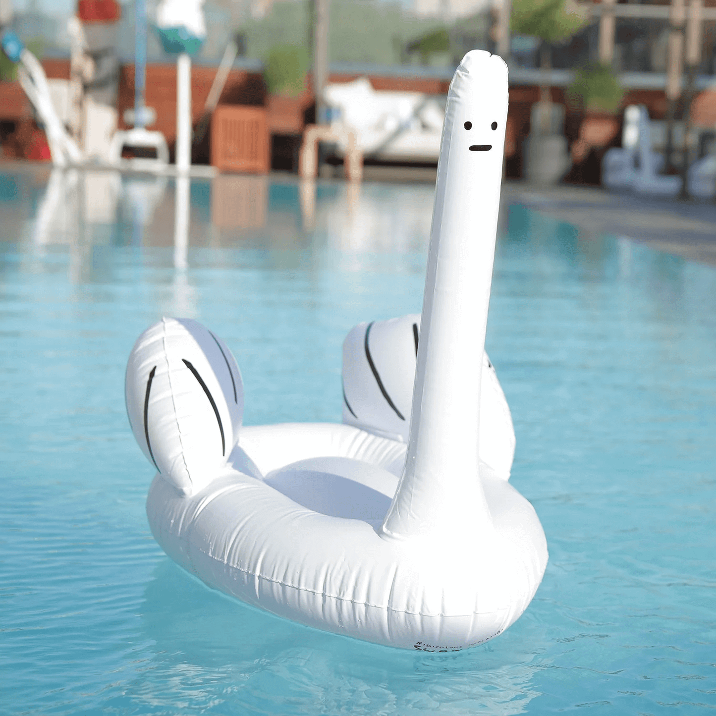 ridiculous inflatable swan thing